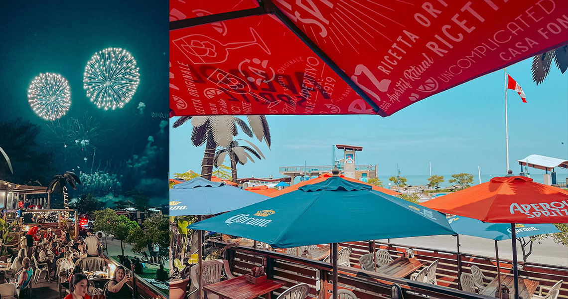 Growling Gator large slide 2