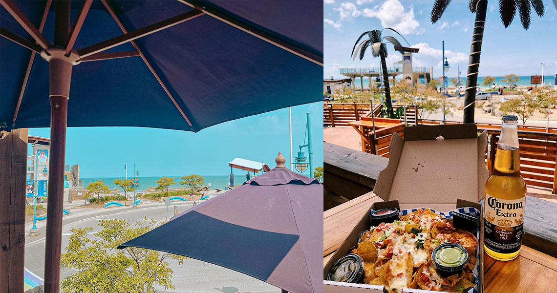 Growling Gator large slide 5