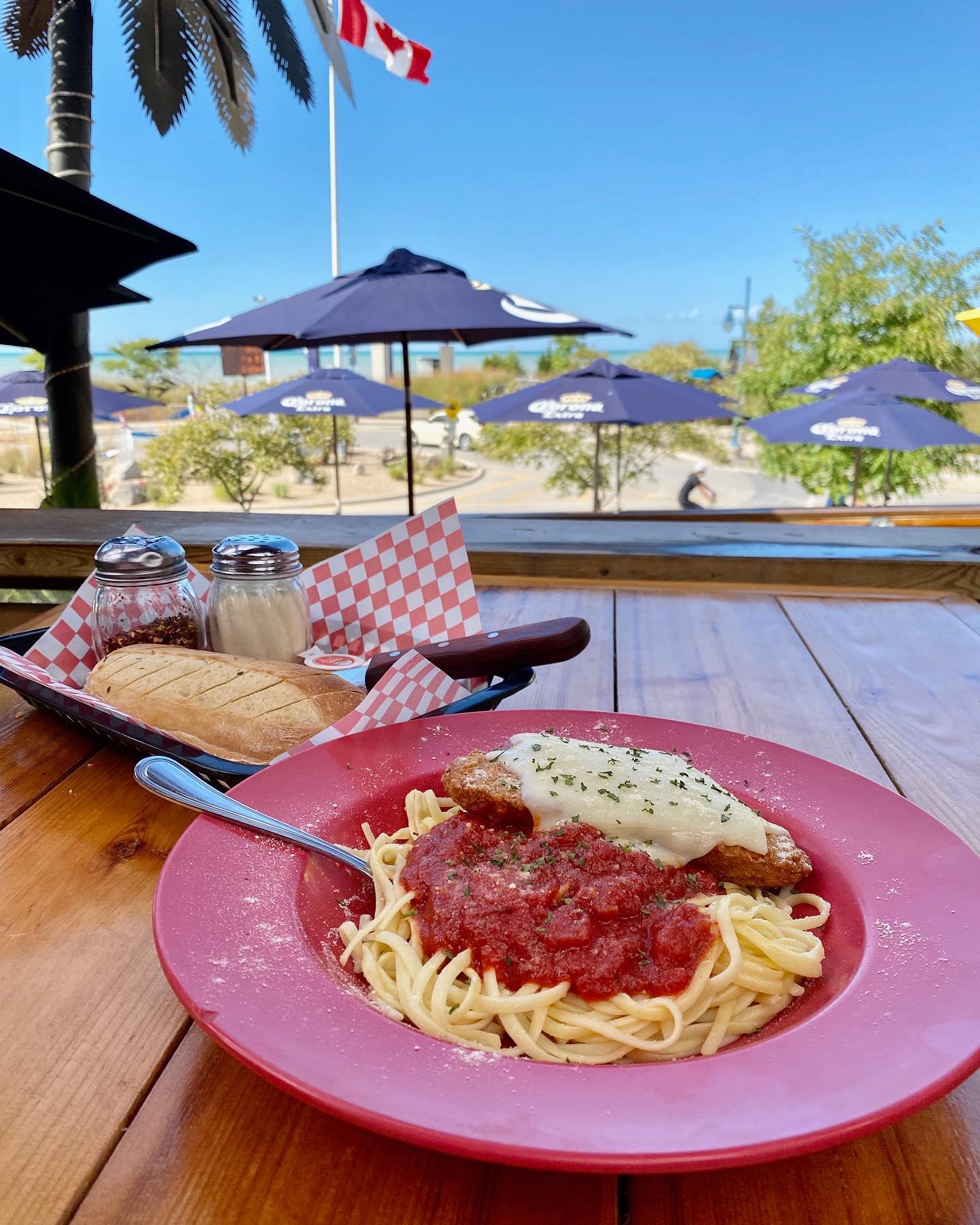 Growling Gator gallery image 12