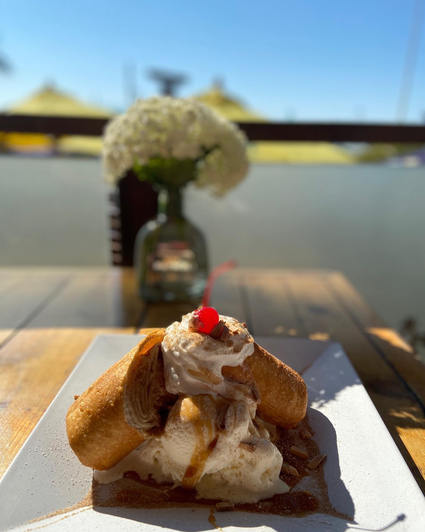 Growling Gator gallery image 66