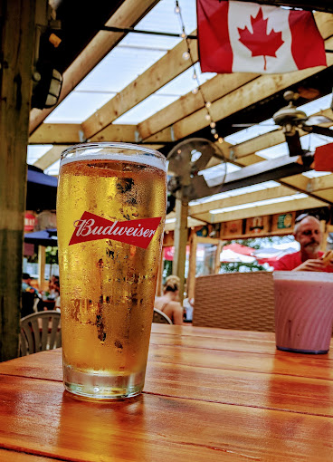 Growling Gator gallery image 14