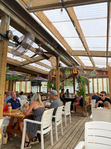 Growling Gator gallery image 25