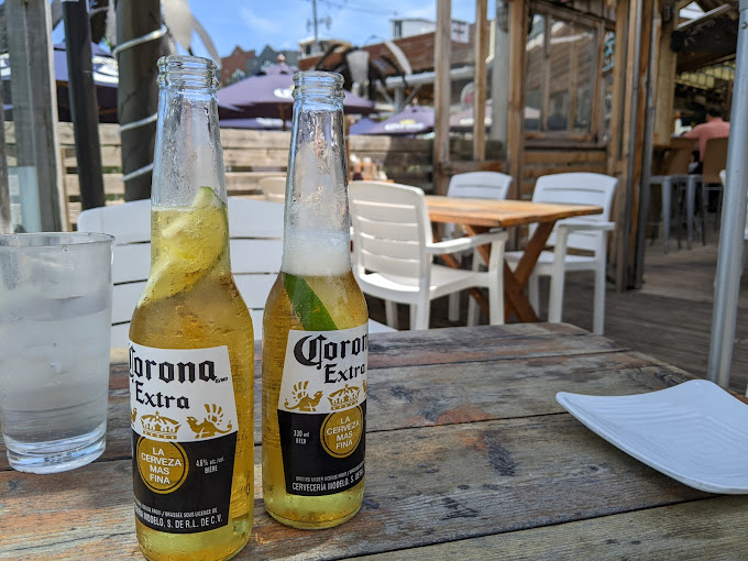 Growling Gator gallery image 52