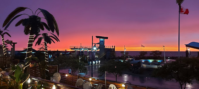 Growling Gator gallery image 4