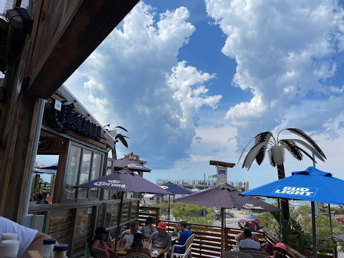 Growling Gator gallery image 87