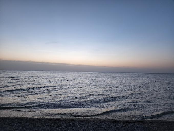 Growling Gator gallery image 61