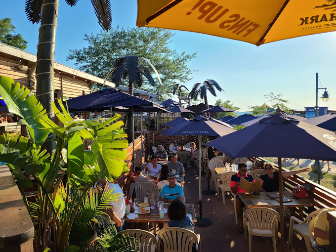 Growling Gator gallery image 31