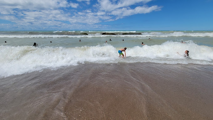 Growling Gator gallery image 28