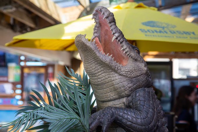 Growling Gator gallery image 18