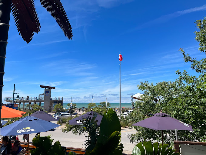 Growling Gator gallery image 3