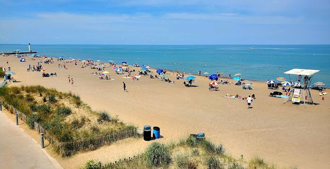 Growling Gator gallery image 9