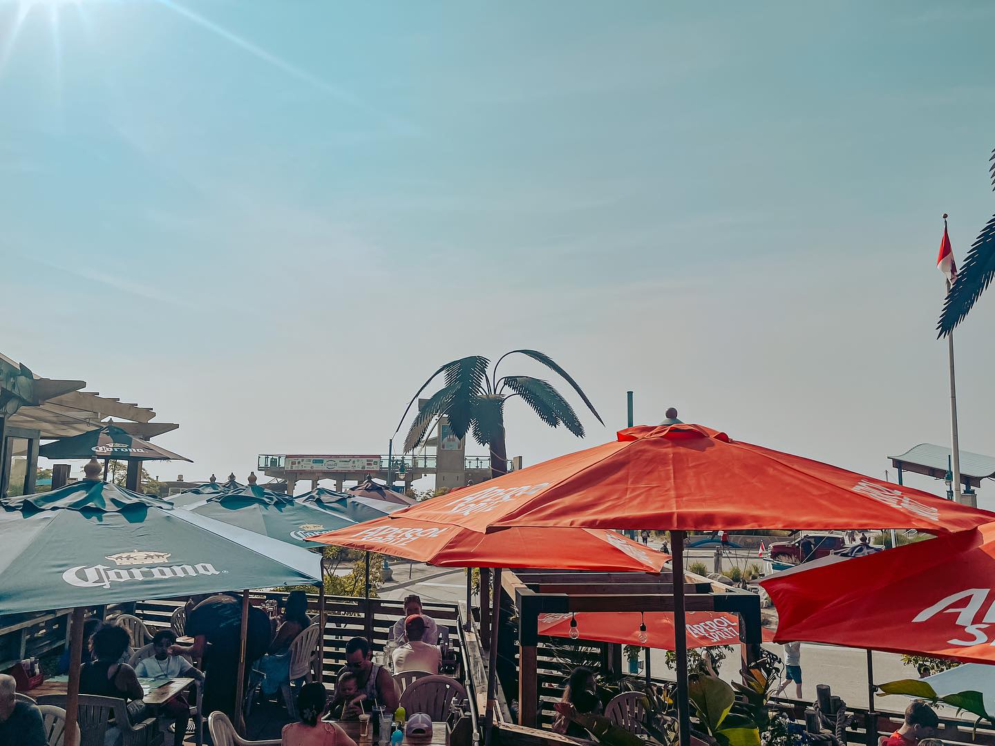 Growling Gator food and drink